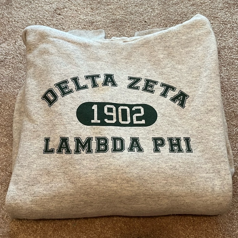 Delta Zeta 1902 Lambda Phi hoodie